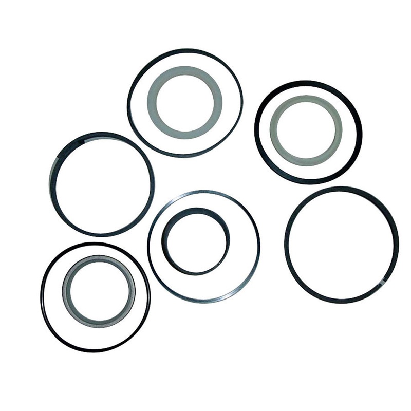 Hydraulic Seal Kit - Dipper Cylinder Fits Case 580L 580M 234844A1