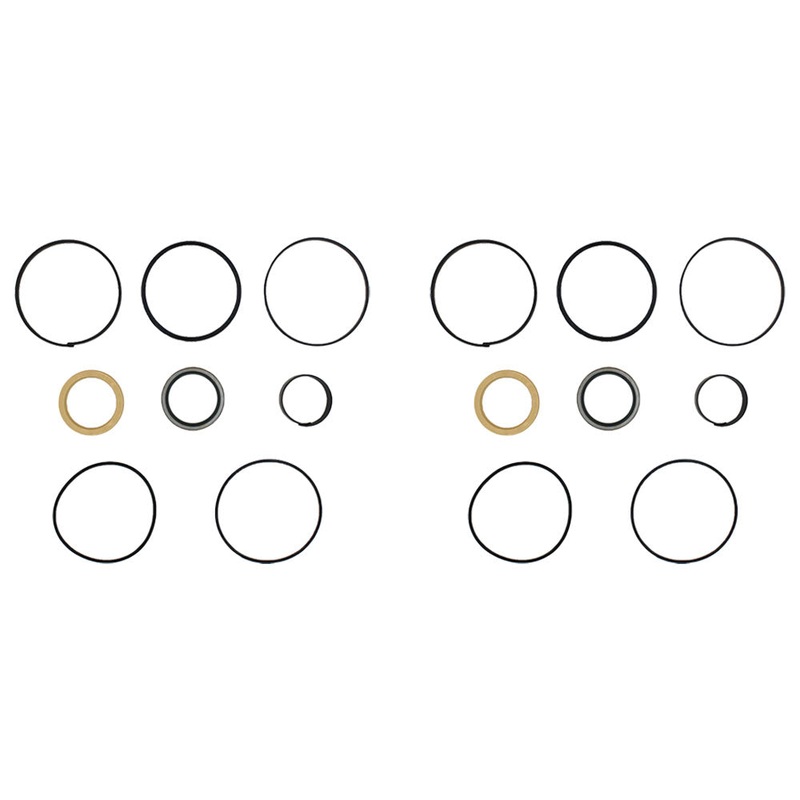 Qty 2: Cylinder Seal Kit Fits Case Replaces 1543275C1